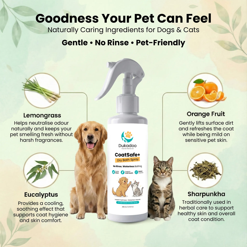 Dukadoo Pet Wellness Kit