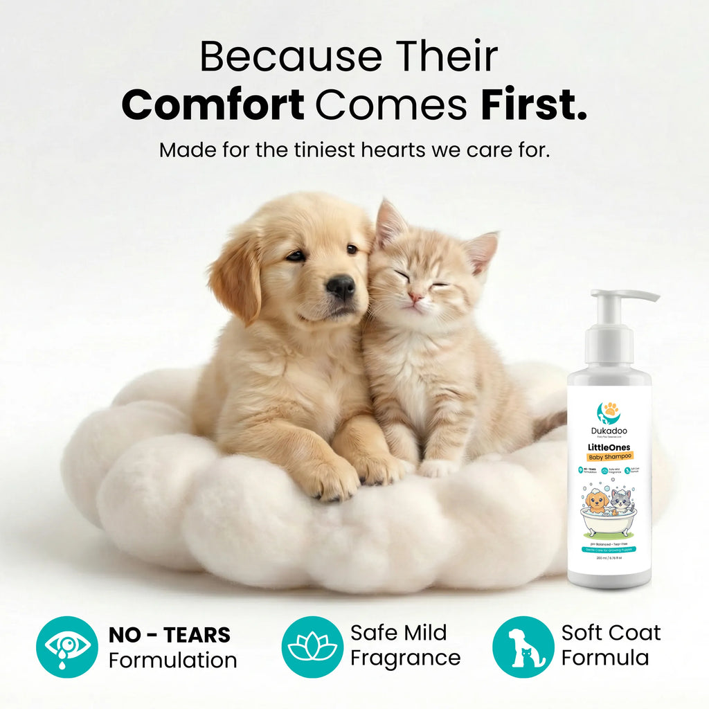 Dukadoo LittleOnes Baby Shampoo – 200ml | No-Tears, pH-Balanced Formula | Gentle Care for Puppies & Kittens | Soft Coat Cleansing | Mild Fragrance | for Dogs & Cats
